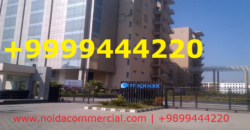 +9899444220 || Office Space For Rent Noida Expressway, Commercial Property In Noida Expressway