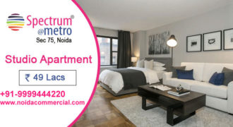 Spectrum Metro Studio Apartments