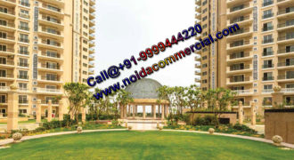 Ace Parkway Noida