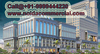 PKS Town Central Noida Extension