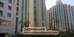 Abc Sector 135 Noida