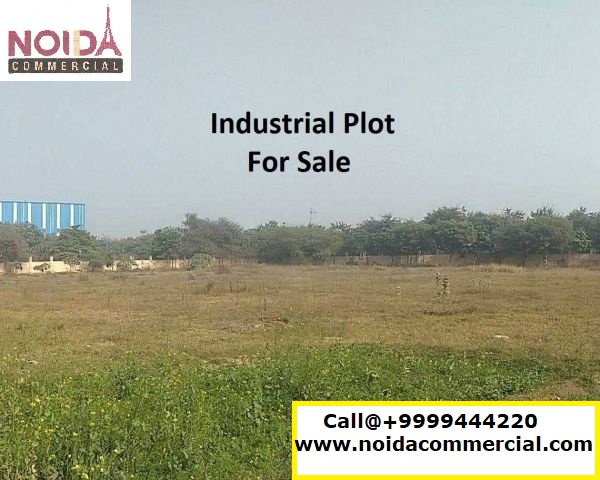 Kisan Kota Plots 